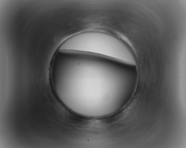 X0000089391463200706150921