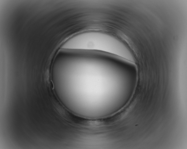 X0000089391465200706150921