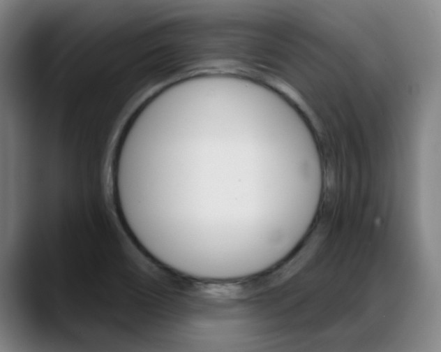 X0000089391466200706150921