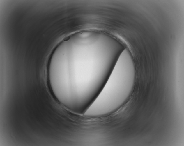 X0000089391467200706150921