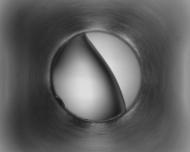 X0000089391469200706150921