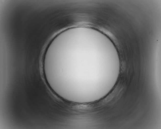 X0000089391470200706150921