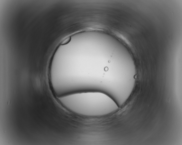 X0000089391471200706150921