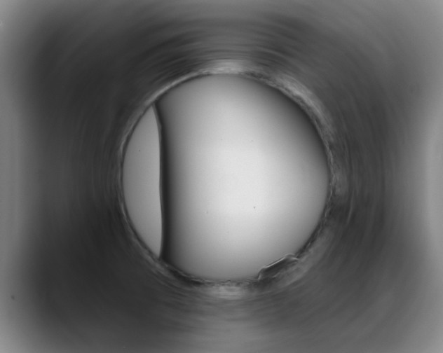 X0000089391473200706150921