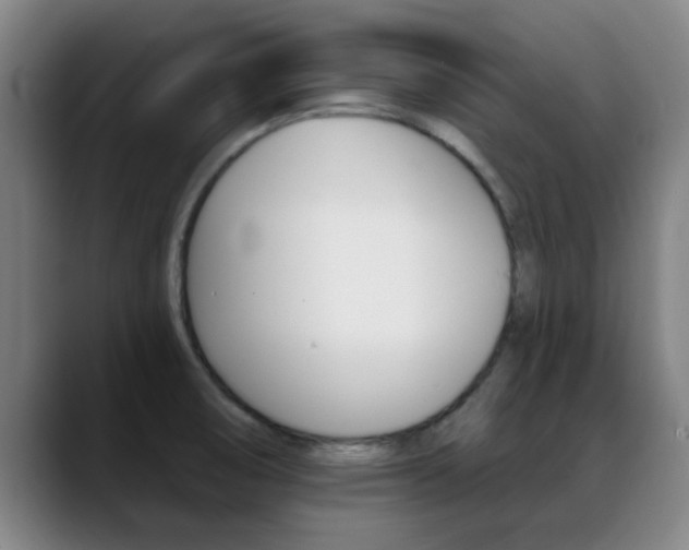 X0000089391474200706150921