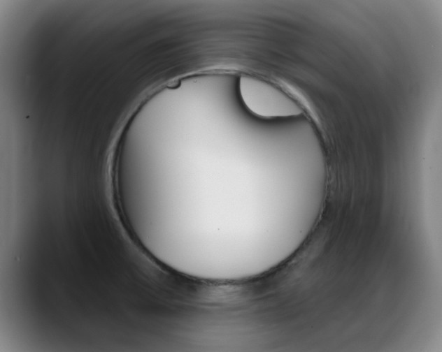 X0000089391475200706150921