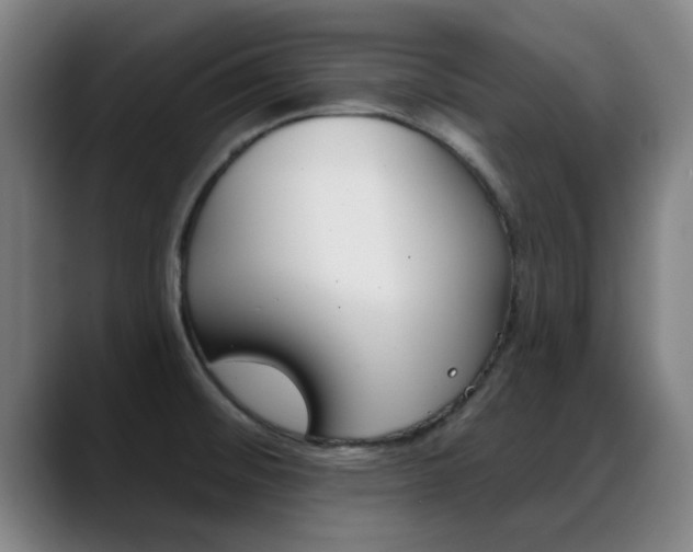 X0000089391476200706150921