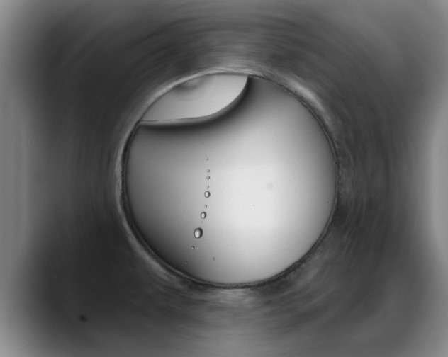 X0000089391479200706150921
