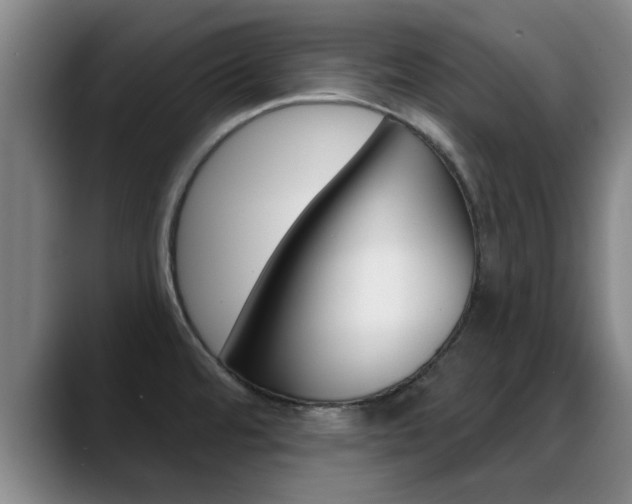 X0000089391480200706150921