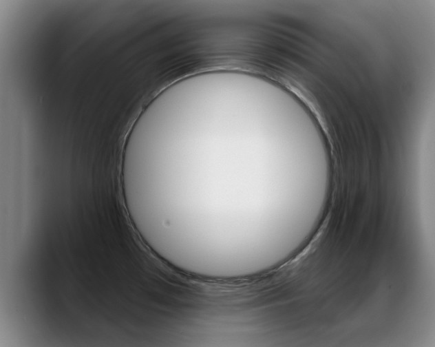 X0000089391481200706150921