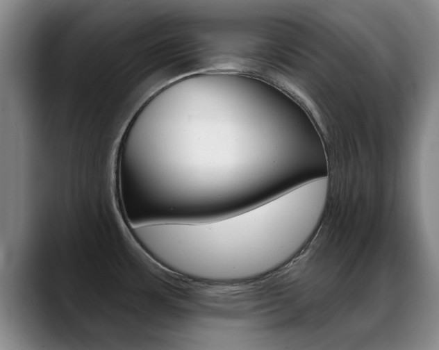 X0000089391483200706150921