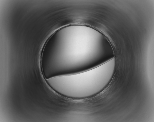 X0000089391484200706150921