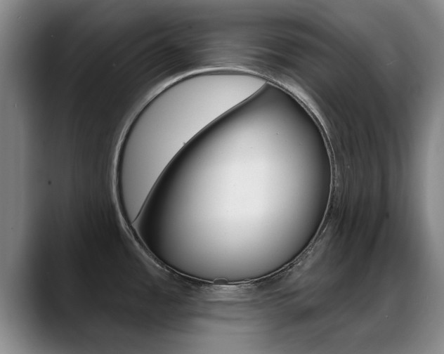 X0000089391485200706150921