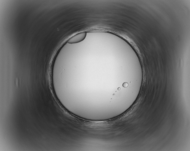 X0000089391486200706150921