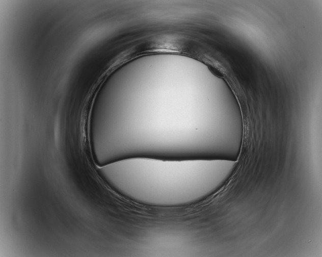 X0000089391487200706150921