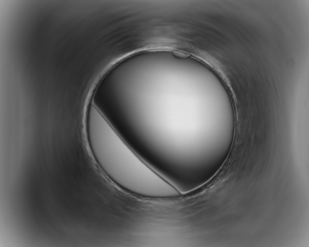 X0000089391488200706150921