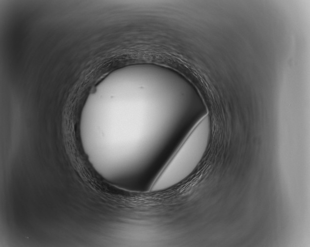 X0000089391489200706150920
