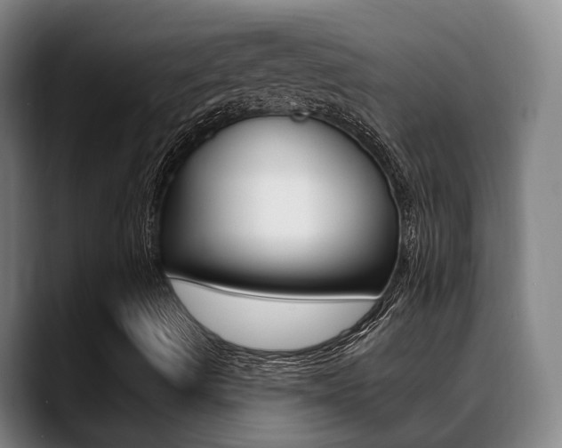 X0000089391490200706150920