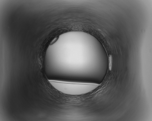 X0000089391491200706150920