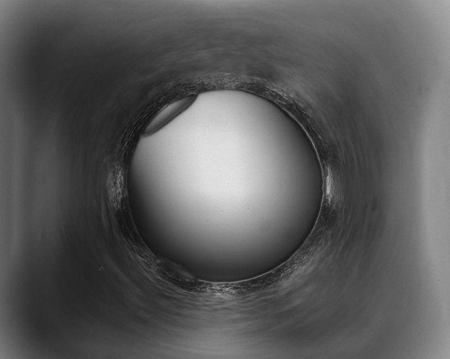 X0000089391492200706150920
