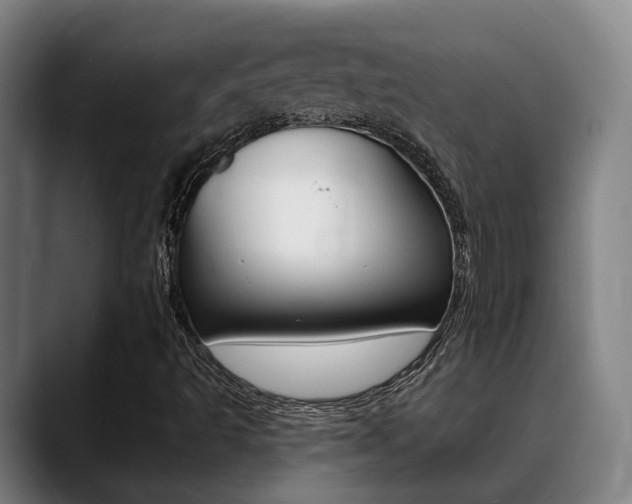 X0000089391493200706150921
