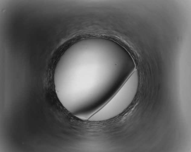 X0000089391494200706150921