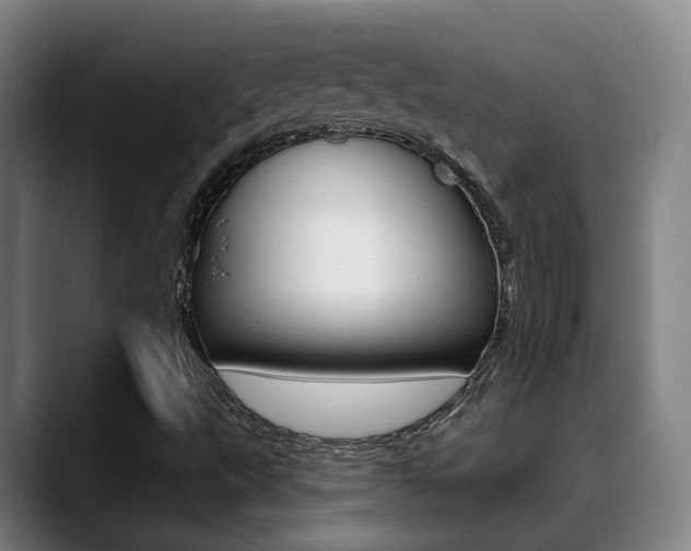 X0000089391495200706150921