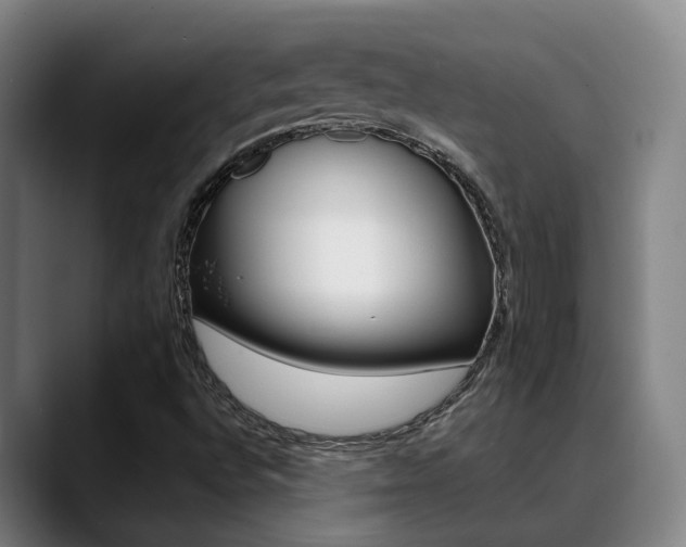 X0000089391496200706150921