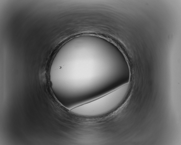 X0000089391497200706150921