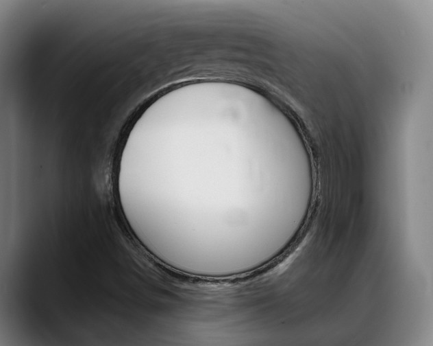 X0000089391498200706150921
