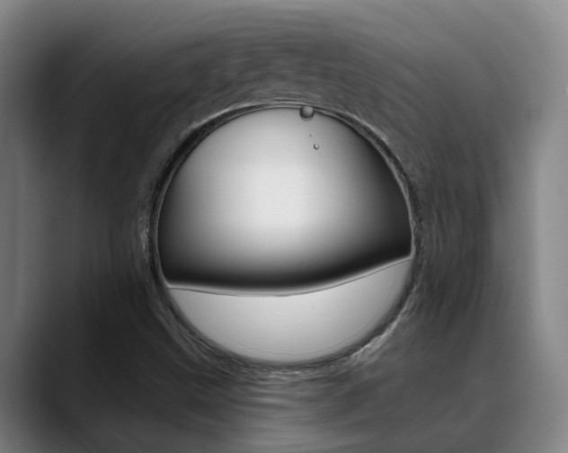 X0000089391499200706150921