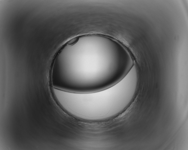 X0000089391500200706150921