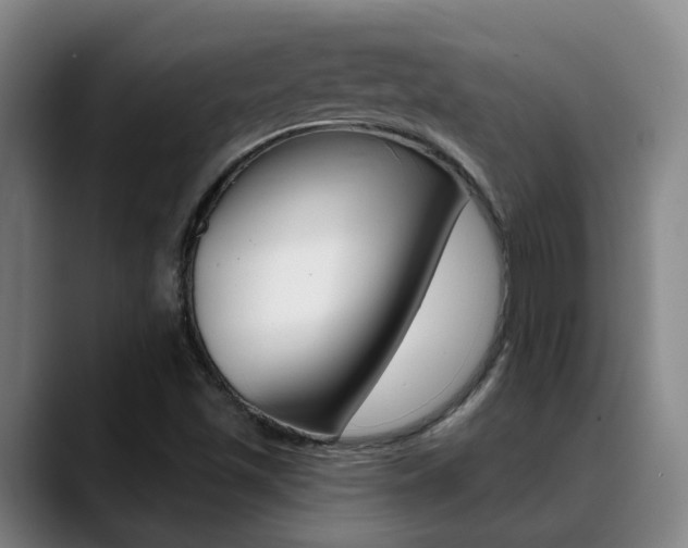 X0000089391501200706150921