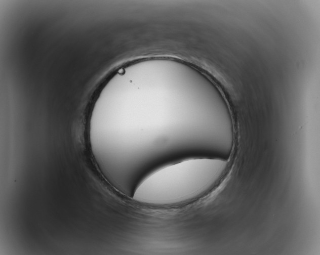 X0000089391502200706150921