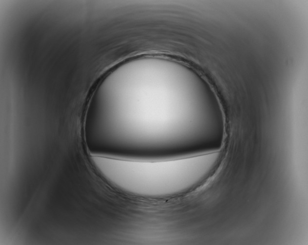 X0000089391505200706150921