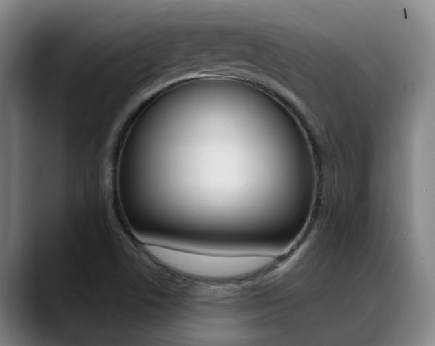 X0000089391506200706150921