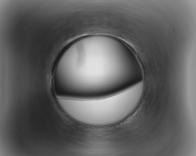 X0000089391507200706150921