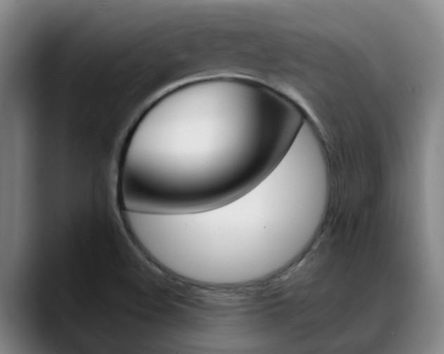 X0000089391508200706150921