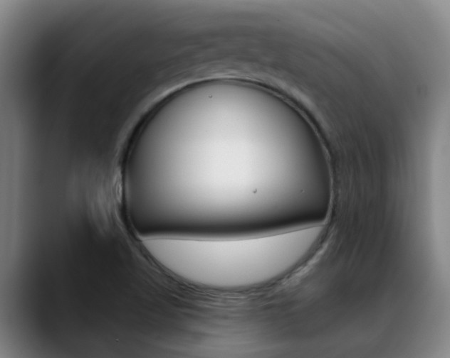 X0000089391509200706150921
