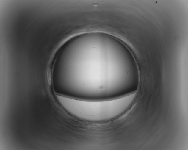 X0000089391510200706150921