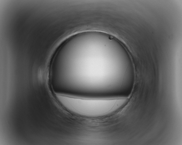 X0000089391511200706150921