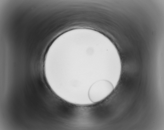 X0000089391514200706150921