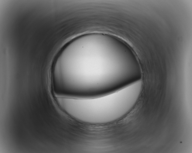 X0000089391515200706150921