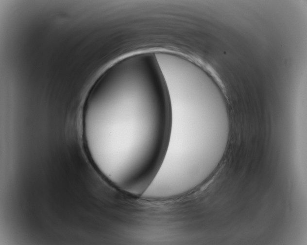 X0000089391516200706150921