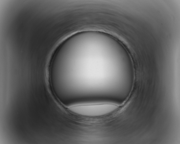 X0000089391517200706150921