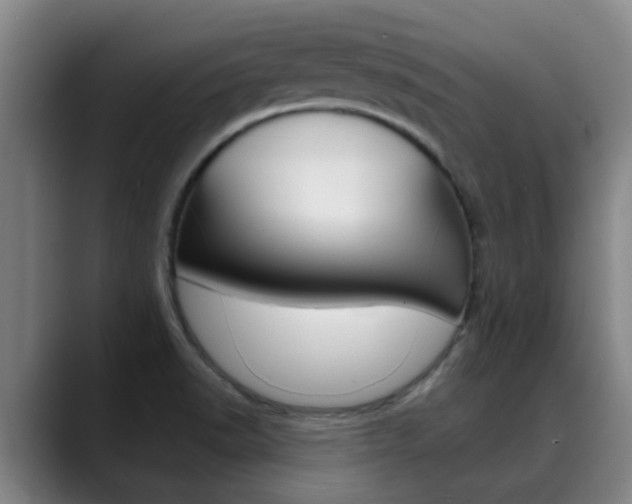 X0000089391518200706150921