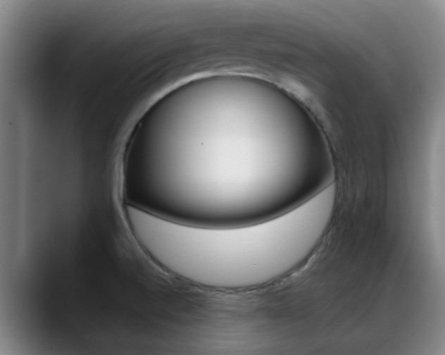 X0000089391520200706150921