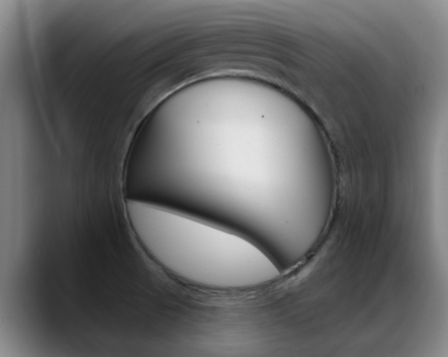 X0000089391521200706150921