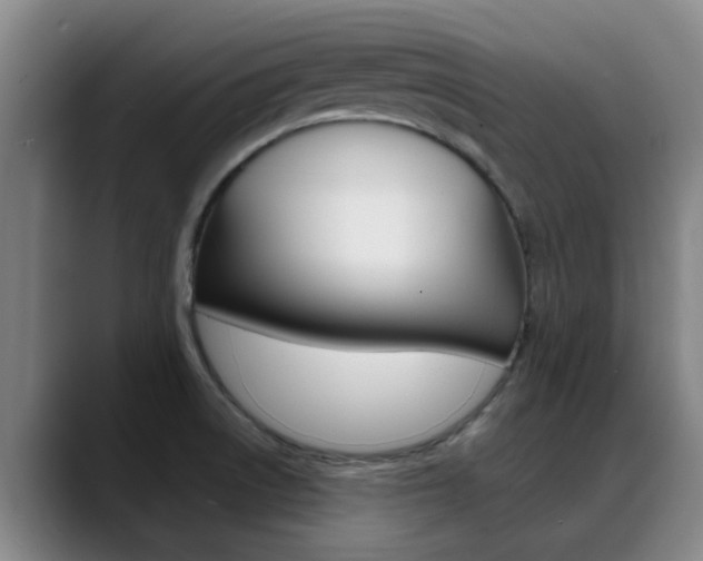X0000089391522200706150921