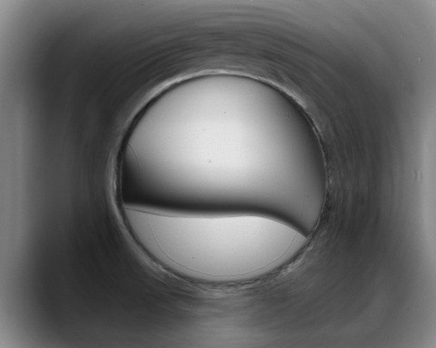X0000089391523200706150921